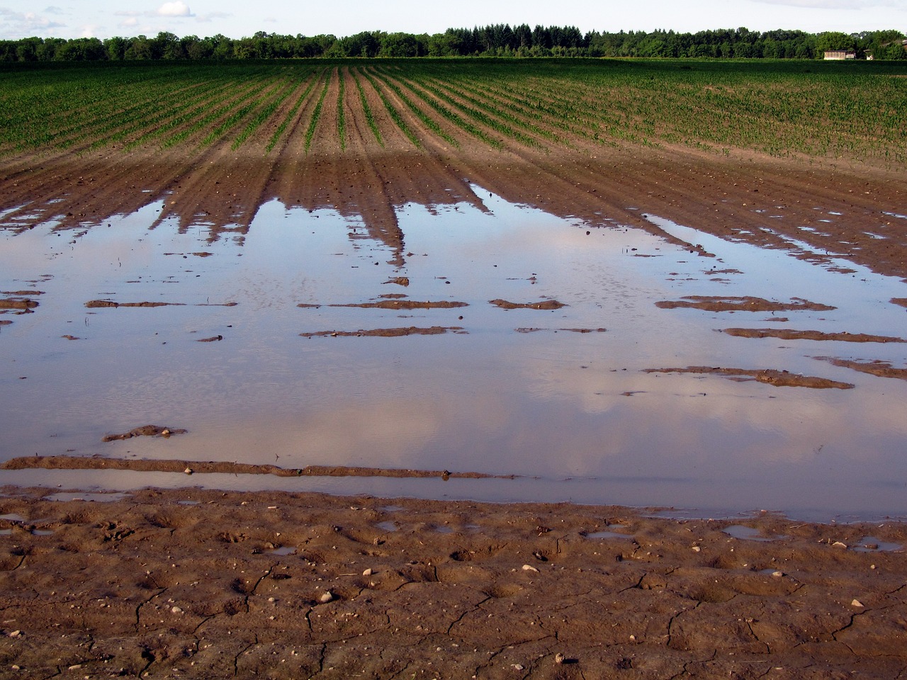 crues mars avril 2024